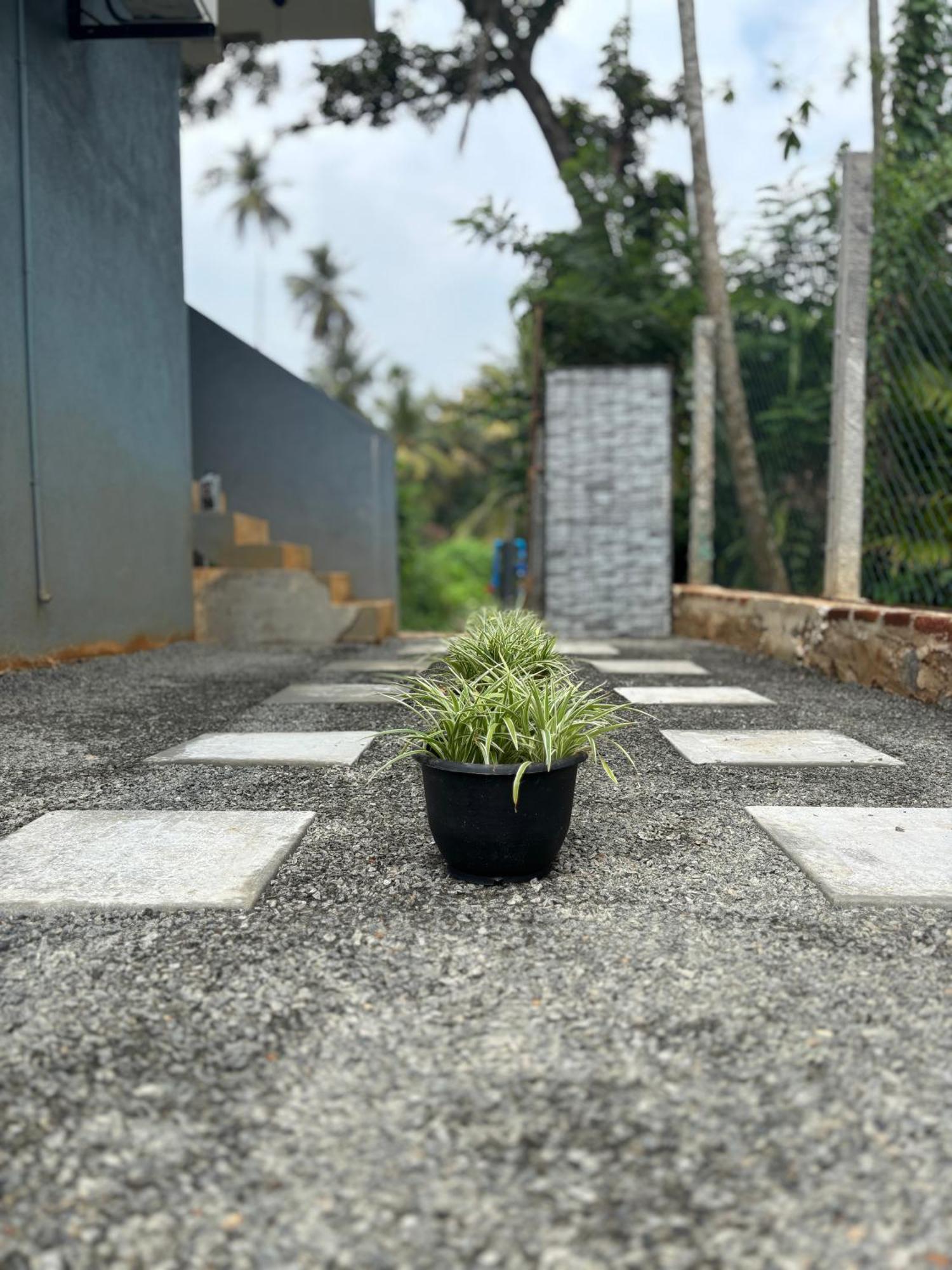 Noble Nest Hirikatiya Hotel Dickwella Exterior photo